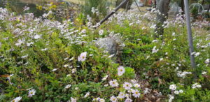 KakaoTalk_20220601_161011137